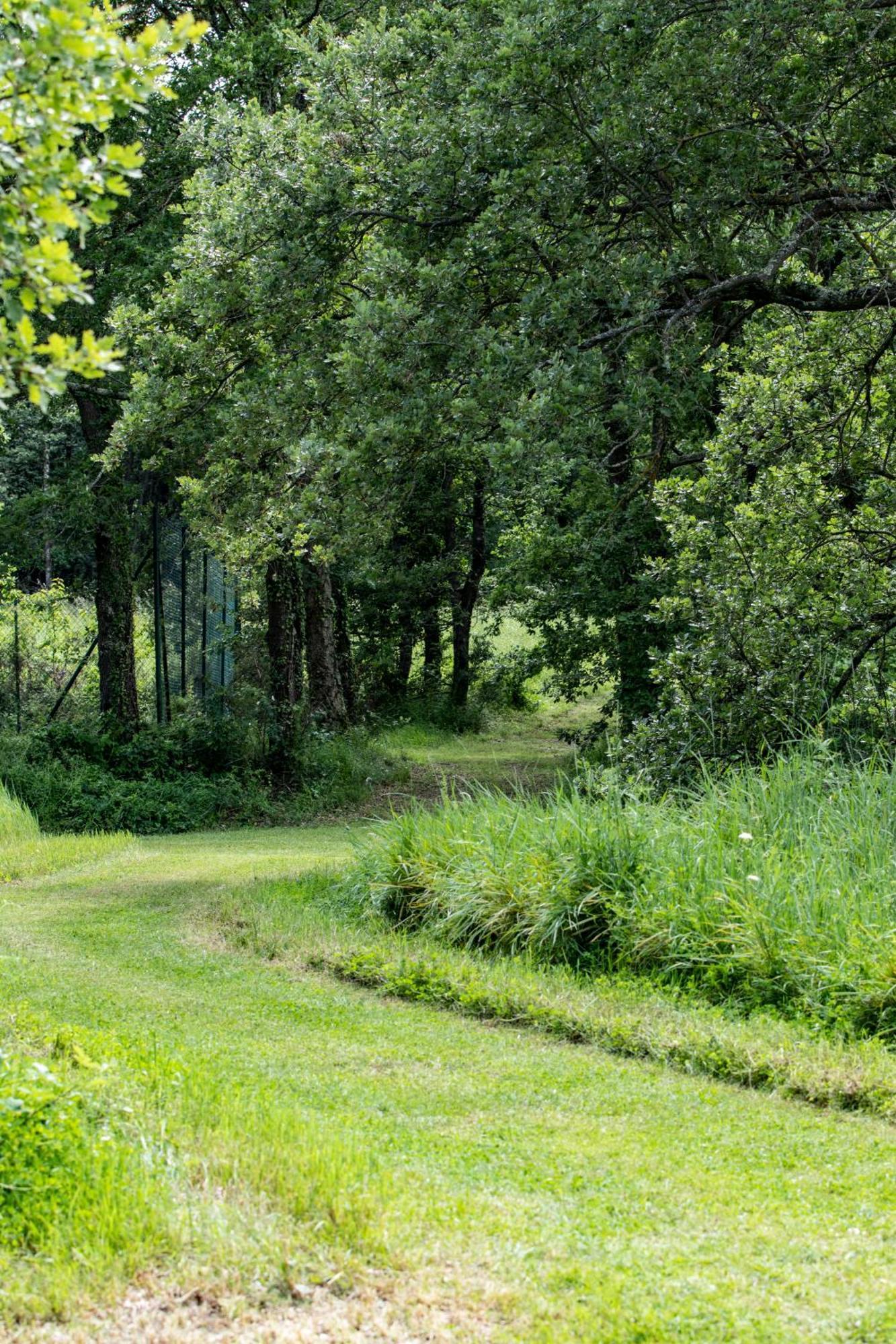 Le Domaine Du Vert Bois Villa Pibrac ภายนอก รูปภาพ